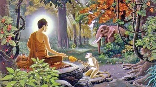 http://coxview.com/wp-content/uploads/2022/05/Buddha-Madhu-Purnima-2.jpg