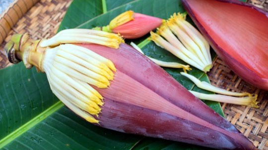 http://coxview.com/wp-content/uploads/2021/09/Fruit-Banana-Flower-3.jpg